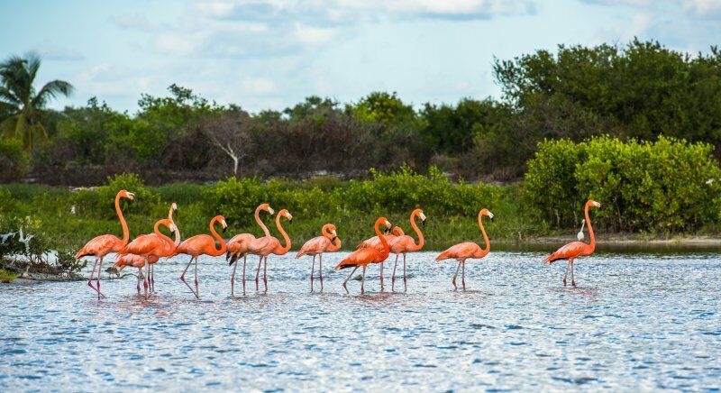 Autotour à la découverte du Yucatan - de Cancun à Cancun pas cher