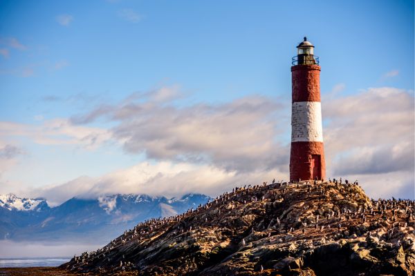 Circuit Contrastes de la Terre de Feu et du Nord Argentin pas cher photo 1