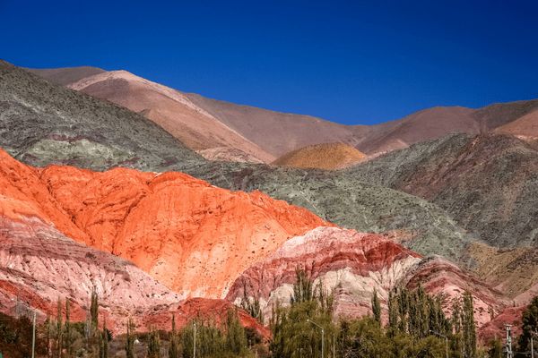 Circuit Contrastes de la Terre de Feu et du Nord Argentin pas cher photo 16