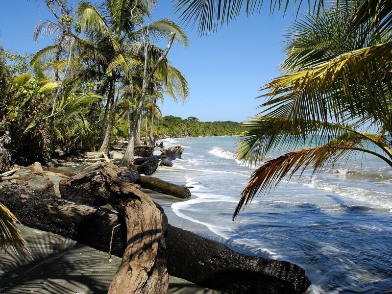 Circuit privé entre jungle, plages et volcan pas cher photo 5