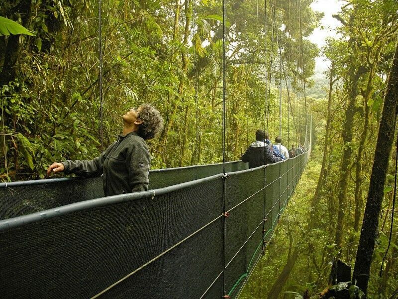 Circuit privé entre jungle, plages et volcan pas cher photo 9