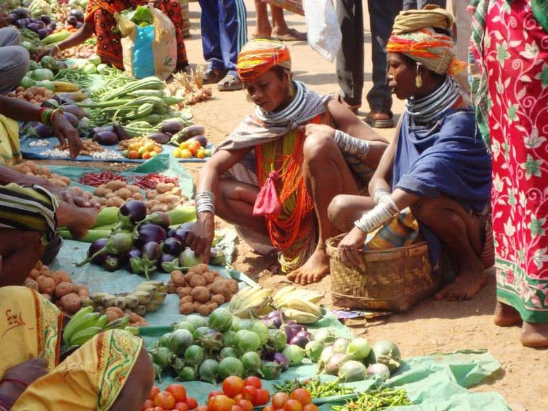 Circuit Des rivages d'Odisha aux lagunes du Kerala - l'Inde les pieds dans leau pas cher photo 8