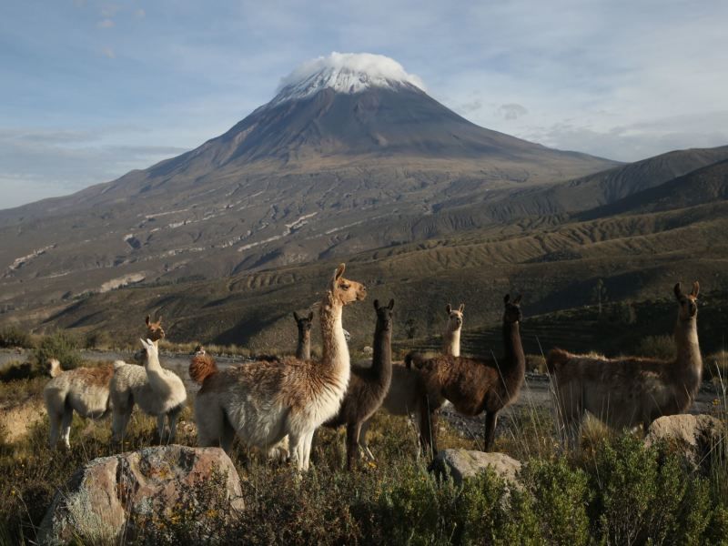 Circuit voyage en petit groupe au coeur du Pérou : aux racines de l'Empire Inca pas cher photo 5