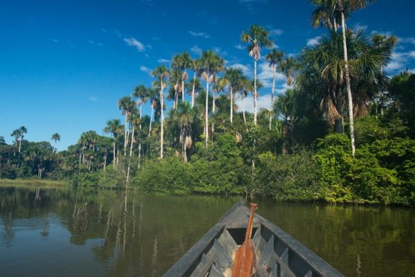Circuit Mythes et Légendes du Pérou et de l'Amazonie pas cher photo 51