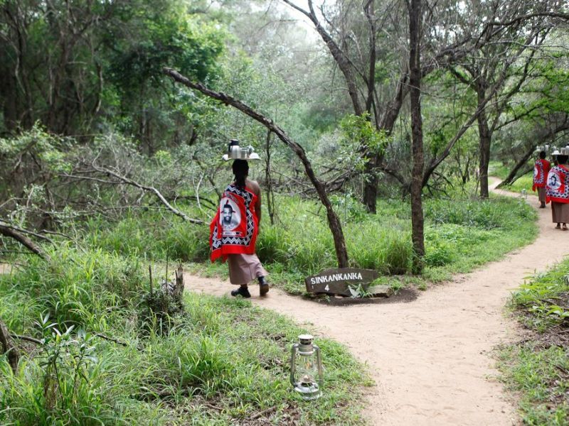 Circuit Découverte Afrique Du Sud pas cher photo 8