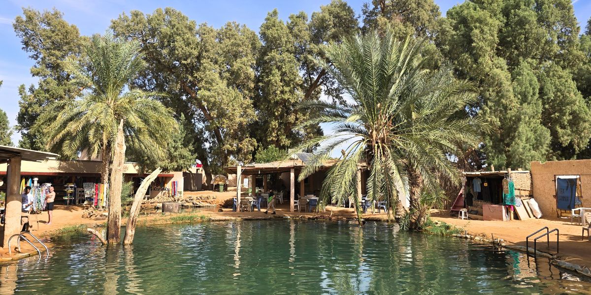 Combiné Djerba 4* et Désert pas cher photo 14