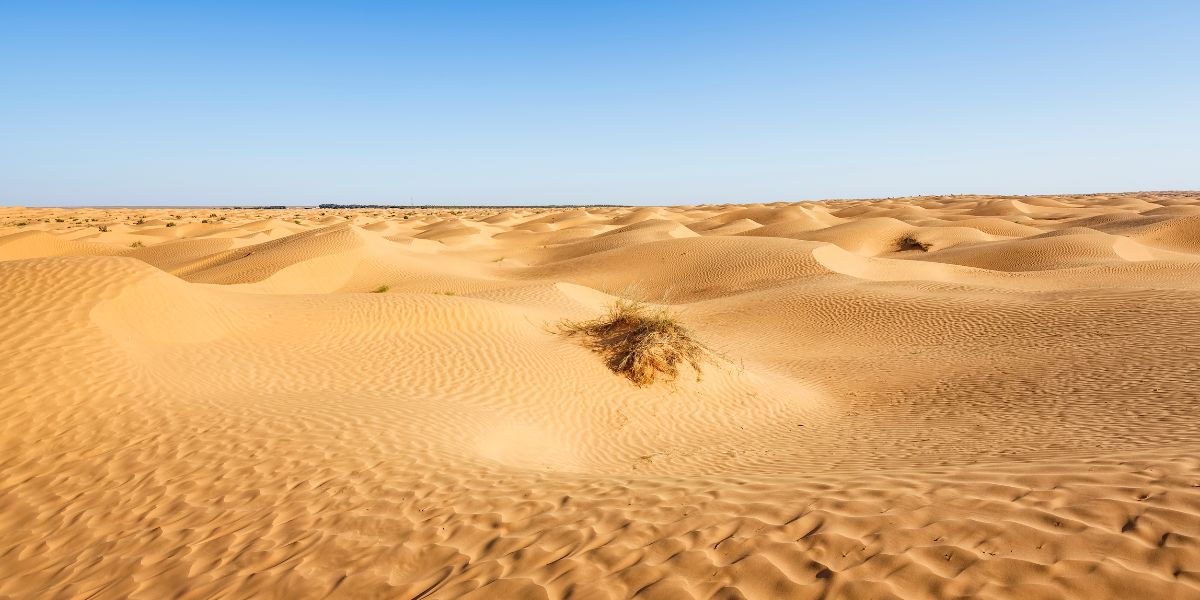 Combiné Djerba 4* et Désert pas cher photo 20