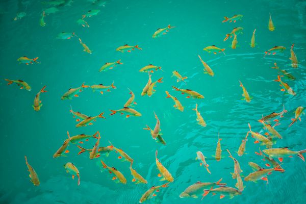 Les paradis du Sud de la Thaïlande pas cher