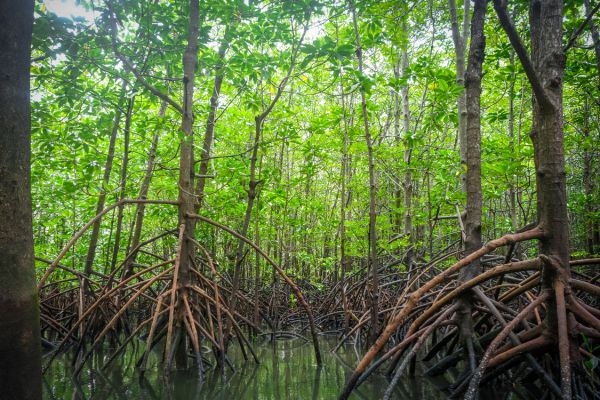 Les paradis du Sud de la Thaïlande pas cher photo 10