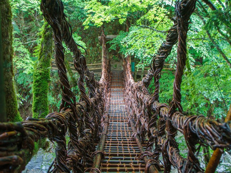 Autotour Japon : Incontournables & Terres Mystérieuses en 3* pas cher photo 10