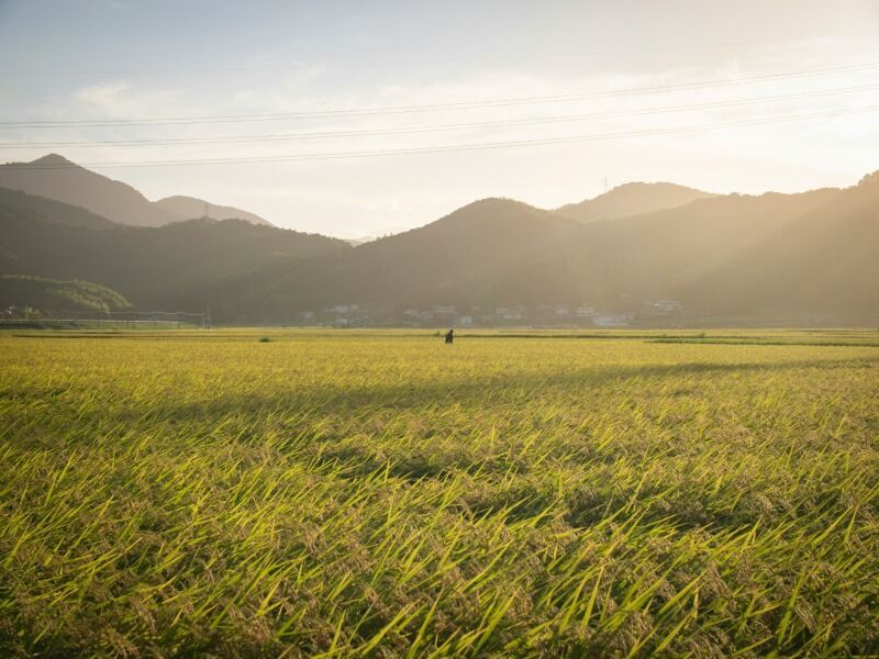 Autotour Japon : Incontournables & Terres Mystérieuses en 3* pas cher photo 11