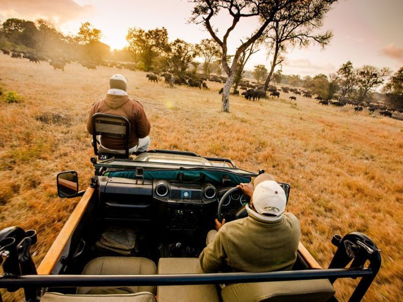 Circuit Patchwork Sud Africain pas cher photo 14