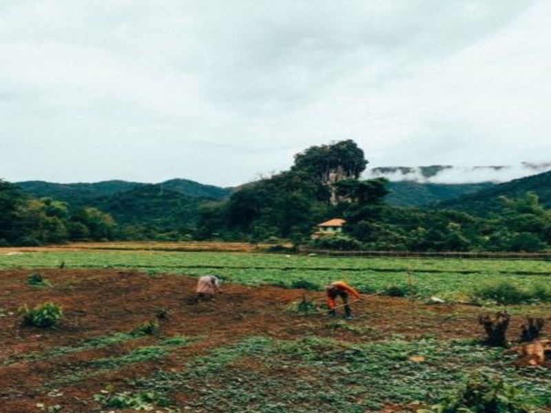 Circuit Immersion au coeur du Laos pas cher photo 7