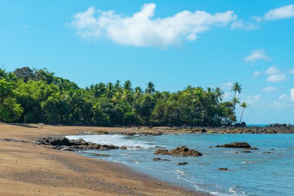 Circuit Odyssée Verte au Costa Rica : Corcovado et Volcans pas cher photo 11