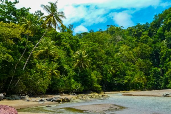 Circuit Odyssée Verte au Costa Rica : Corcovado et Volcans pas cher photo 12