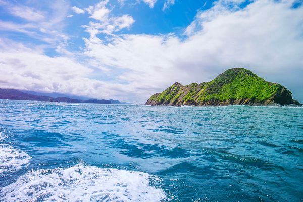 Circuit Odyssée Verte au Costa Rica : Corcovado et Volcans pas cher photo 16