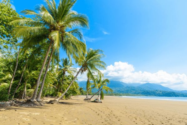 Circuit Odyssée Verte au Costa Rica : Corcovado et Volcans pas cher photo 17