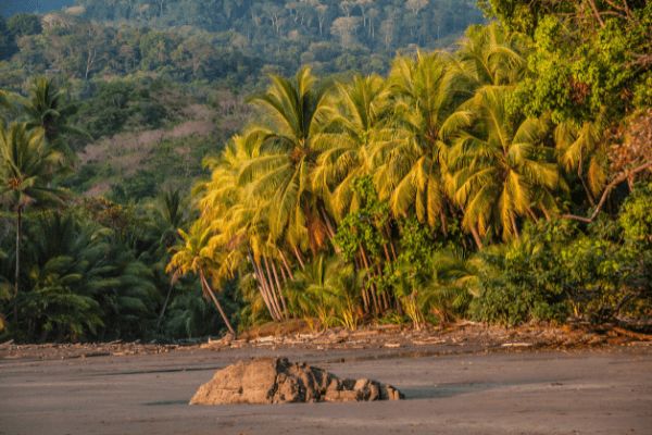 Circuit Odyssée Verte au Costa Rica : Corcovado et Volcans pas cher photo 18