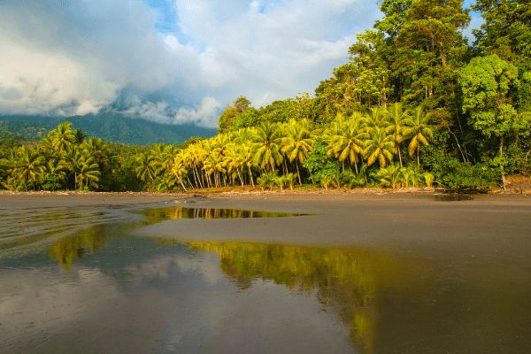 Circuit Odyssée Verte au Costa Rica : Corcovado et Volcans pas cher photo 19
