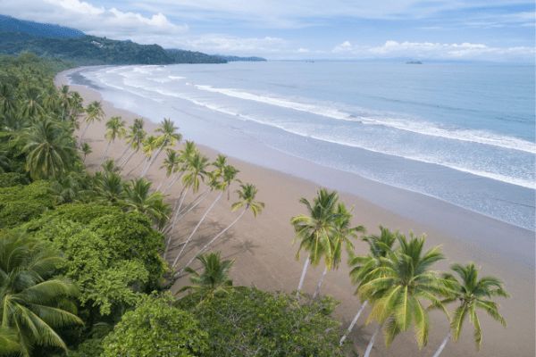 Circuit Odyssée Verte au Costa Rica : Corcovado et Volcans pas cher photo 20