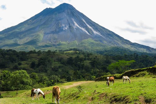 Circuit Odyssée Verte au Costa Rica : Corcovado et Volcans pas cher photo 24