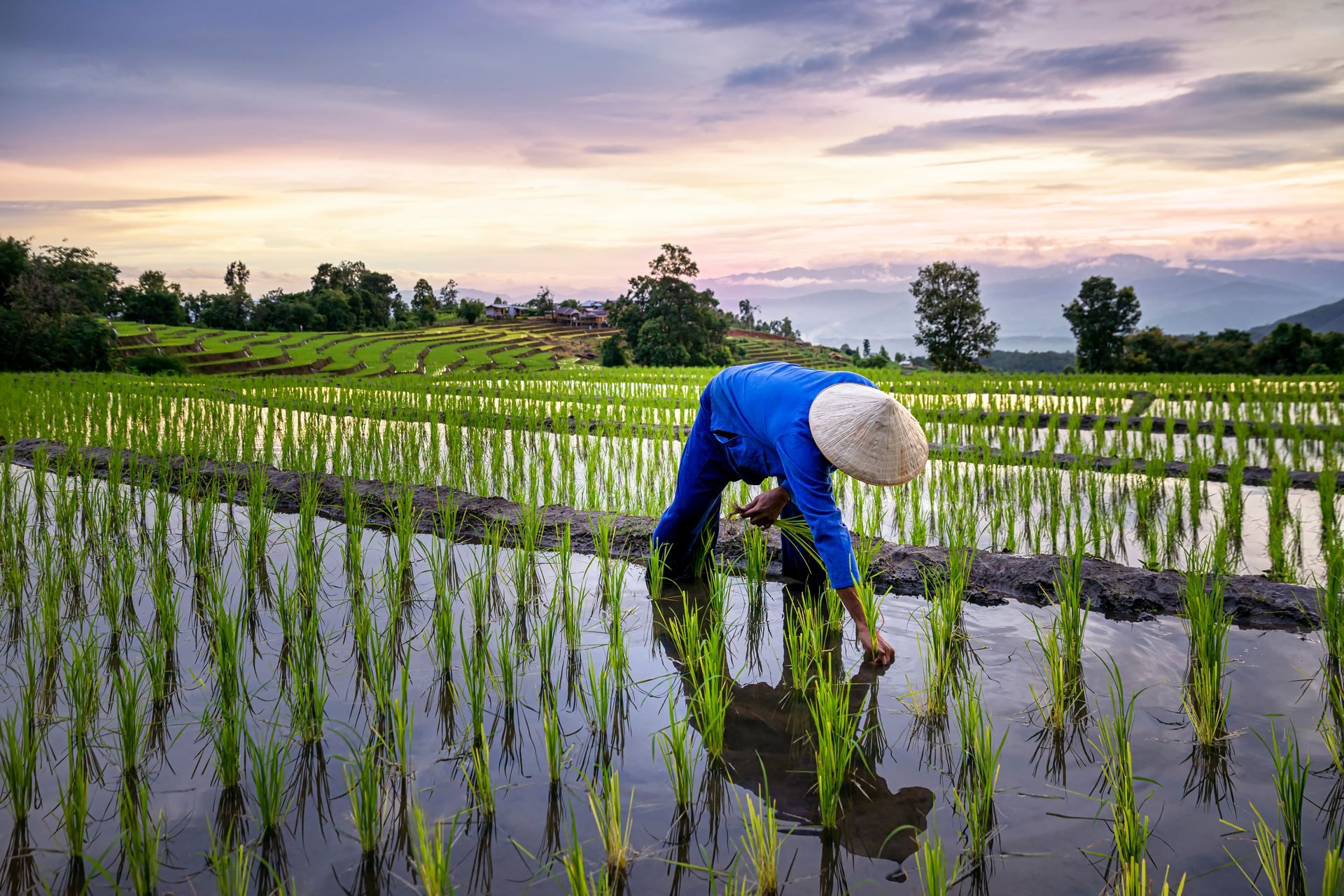 Incontournables du Vietnam en privatif pas cher photo 2
