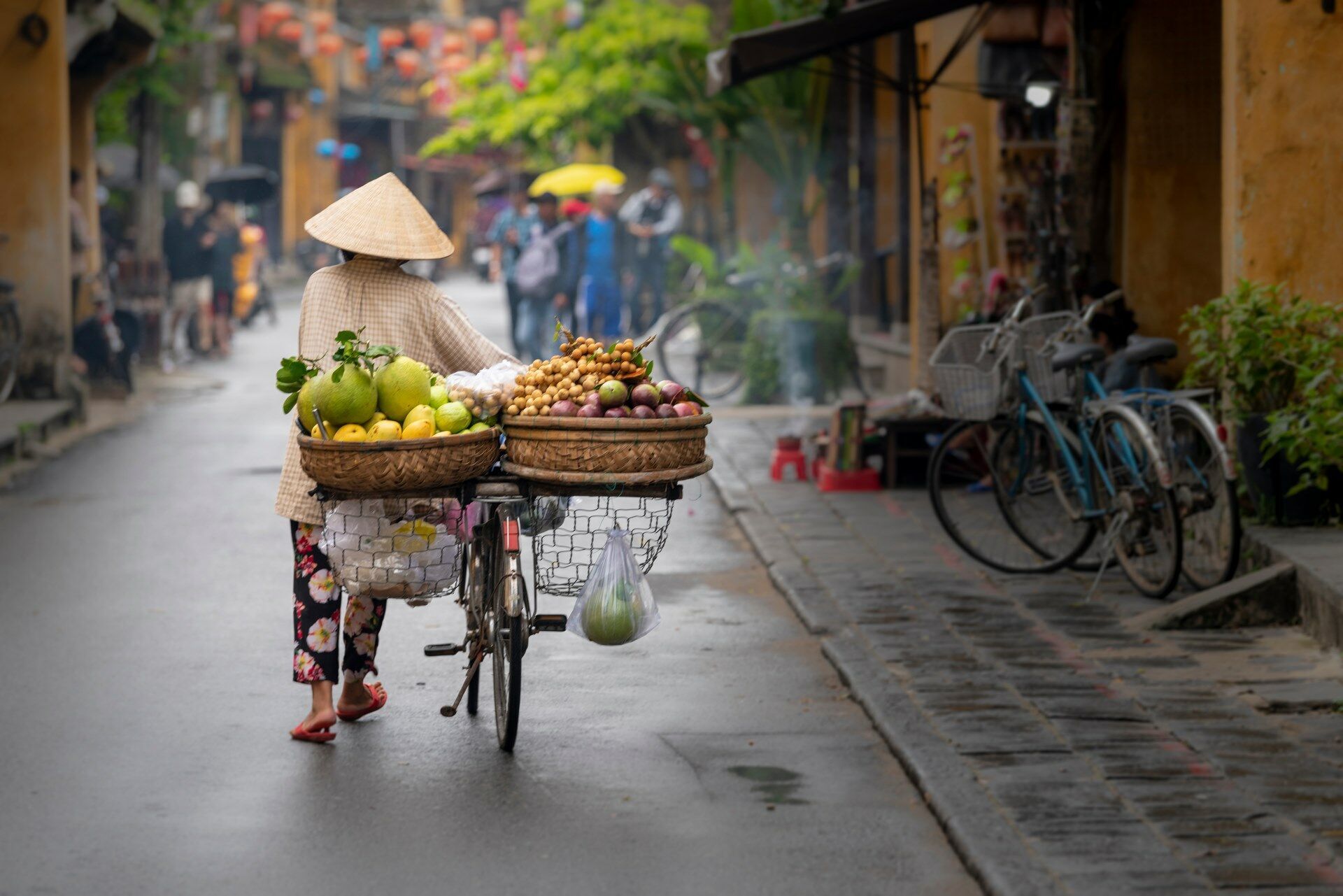 Magie du Vietnam en privatif pas cher photo 5