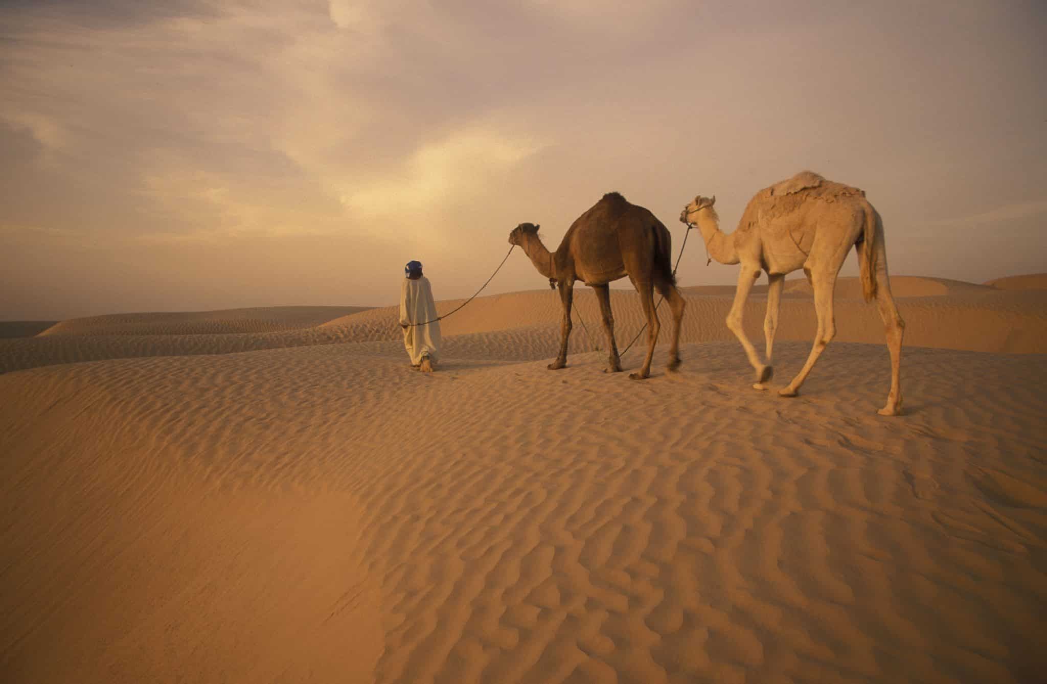 Circuit Grand Tour de Tunisie 4* ou 5* pas cher photo 20