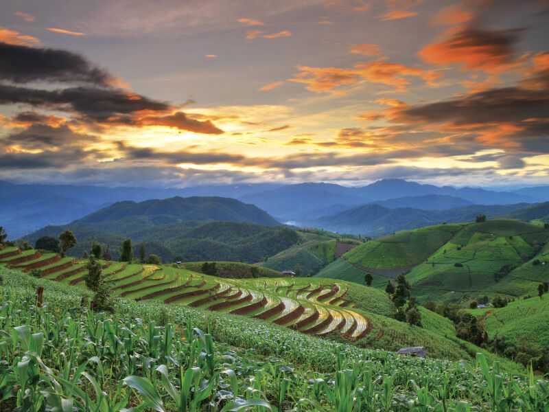 Circuit immersion en Thailande pas cher photo 8