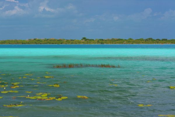 Circuit Lagunes et Pyramides du Yucatan pas cher photo 39