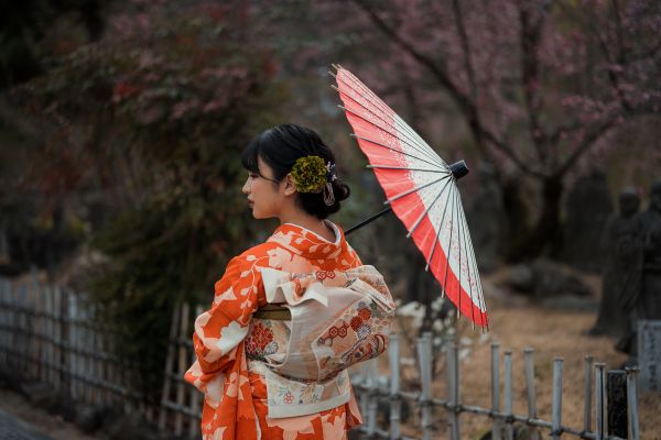 Trilogie Japonaise : Tokyo, Kyoto et Osaka pas cher photo 25