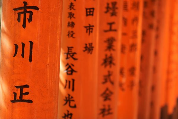 Trilogie Japonaise : Tokyo, Kyoto et Osaka pas cher photo 31