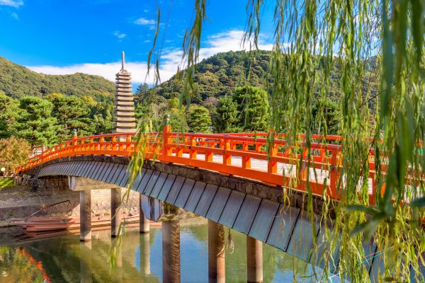 Trilogie Japonaise : Tokyo, Kyoto et Osaka pas cher photo 33