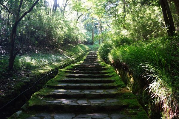 Ohayo Nippon, Du Mont Fuji à la Baie d'Osaka pas cher photo 34