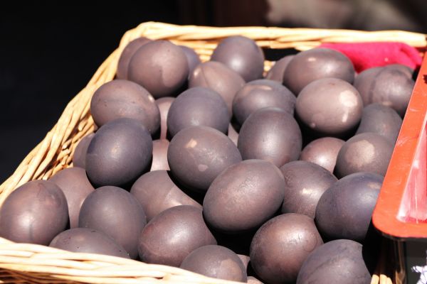 Circuit Toriis et Traditions Nippones pas cher photo 7