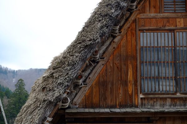 Circuit Toriis et Traditions Nippones pas cher photo 26