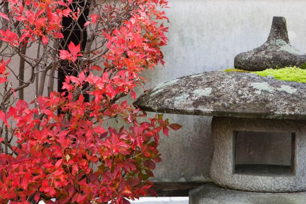 Circuit Toriis et Traditions Nippones pas cher photo 43