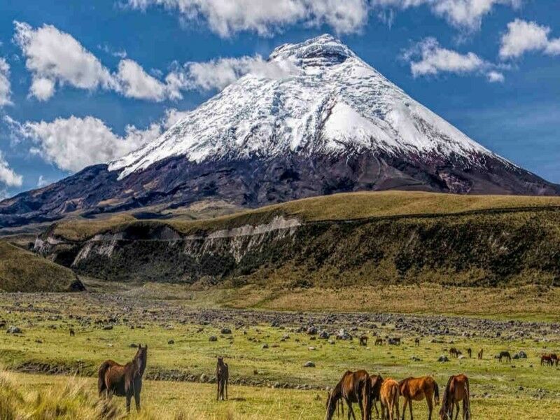 Circuit Xperience Equateur pas cher photo 5