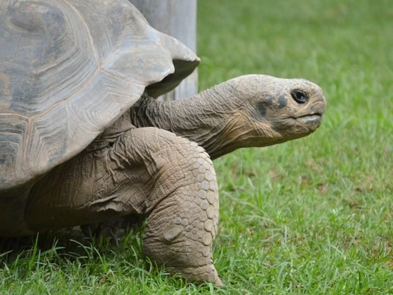 Circuit Xperience Equateur & Galapagos pas cher photo 13