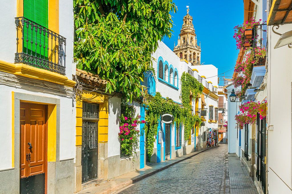 Autotour Panorama d'Andalousie 4* pas cher photo 12