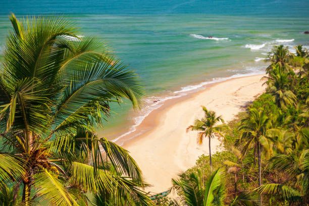 Circuit Du Rajasthan aux Plages de Goa 4* pas cher photo 12