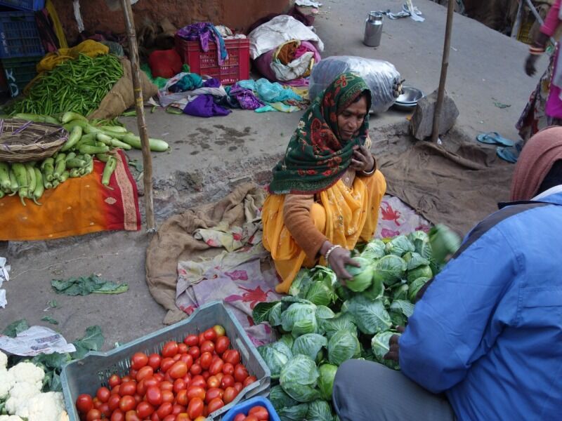 Circuit immersion au Rajasthan pas cher photo 10
