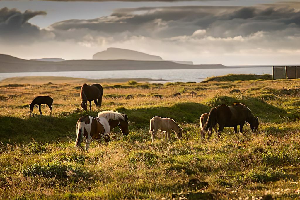 Autotour Merveilles du Nord Islandais pas cher photo 15