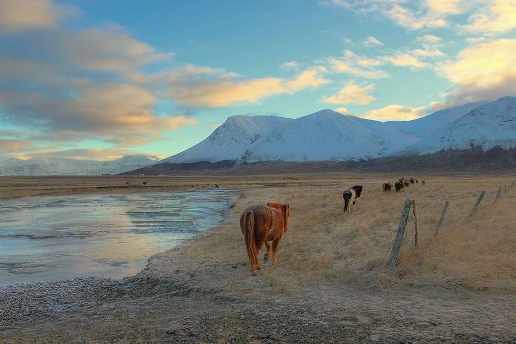 Circuit Estival Aventures en Terres Islandaises 3* pas cher photo 6