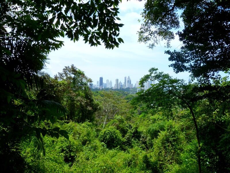 Circuit Panama City : Immersion authentique en petit groupe en 7 nuits pas cher photo 4