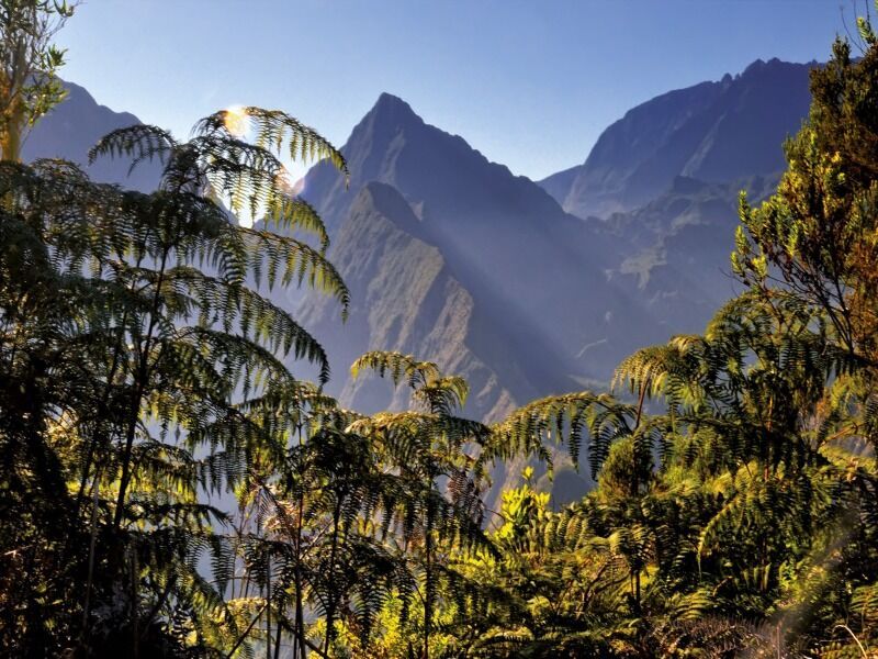 Autotour L'île Bourbon en lib pas cher photo 7