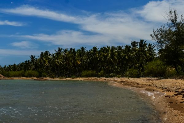 Circuit Découverte du Sri Lanka pas cher photo 11