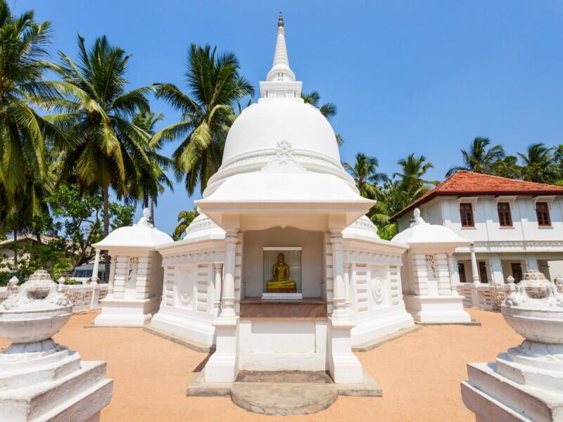 Circuit immersion au Sri Lanka pas cher photo 11