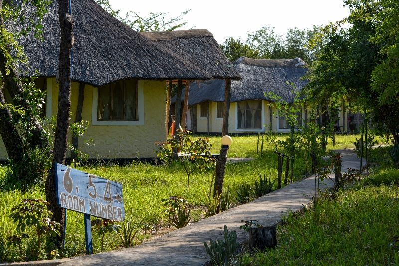 OP - Safari Selous 2 Nuits & Séjour Kappa Club Zanzibar 5* NL pas cher photo 18