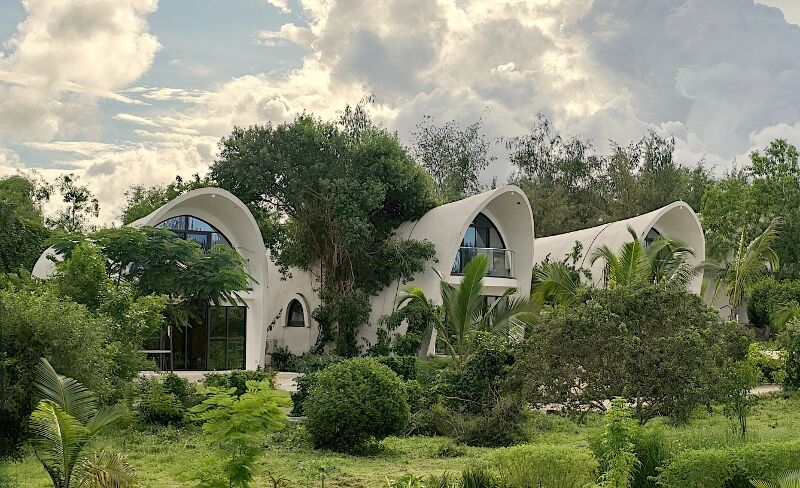 Séjour au Zanziblue Waves & Safari Saadani 2 nuits pas cher photo 21